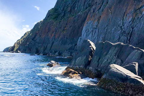 Southern Ocean Adventure From Victor Harbor - eAccommodation 3