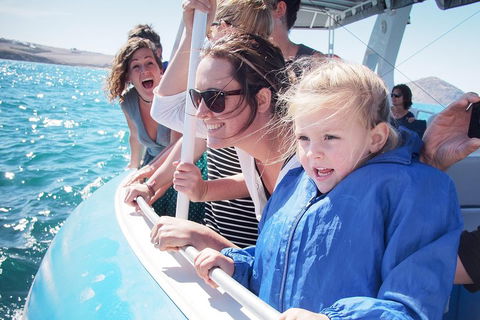 Southern Ocean Adventure From Victor Harbor - eAccommodation 4