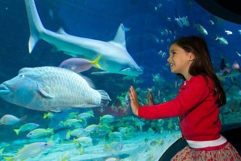Melbourne BIG Ticket - LEGOLAND Discovery And SEA LIFE Melbourne - eAccommodation 1