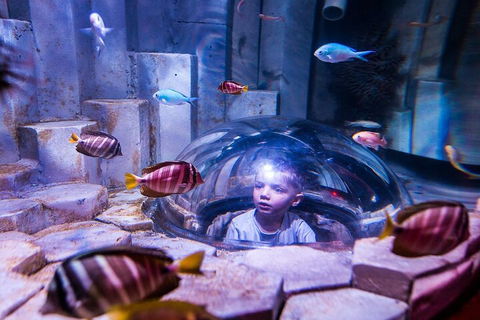 Melbourne BIG Ticket - LEGOLAND Discovery And SEA LIFE Melbourne - eAccommodation 5