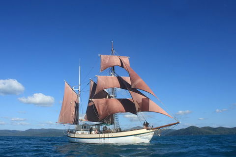 Sydney Harbour Tall Ship Whale & Sail - Whale Watching Cruise - eAccommodation 1