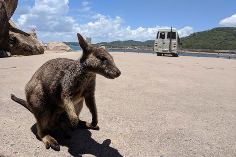 Magnetic Island Tour: Maggie Comprehensive - eAccommodation 0