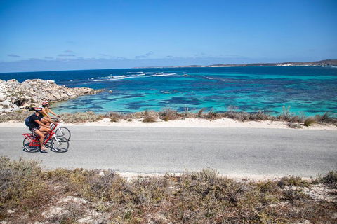 Experience Rottnest With Ferry & Bike Hire From Perth Or Fremantle - eAccommodation 2