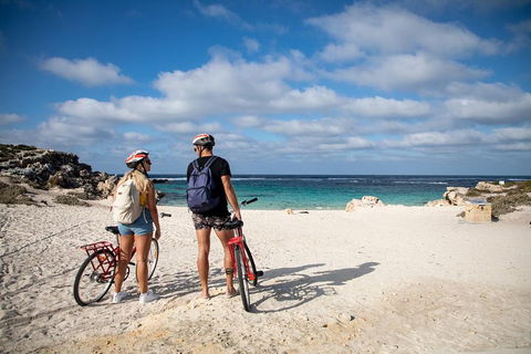 Experience Rottnest With Ferry & Bike Hire From Perth Or Fremantle - eAccommodation 5