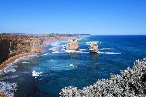Melbourne Super Saver: Great Ocean Road + Wilsons Promontory + Attraction Pass - eAccommodation 5