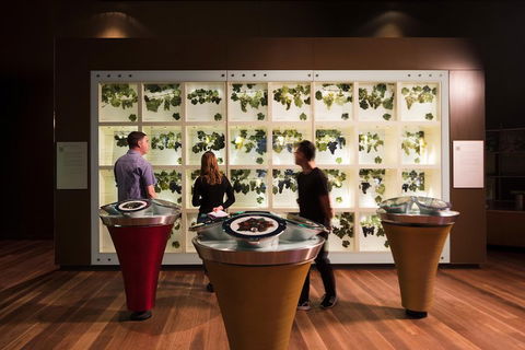 Australian Wine Discovery Tour Ticket - eAccommodation 3