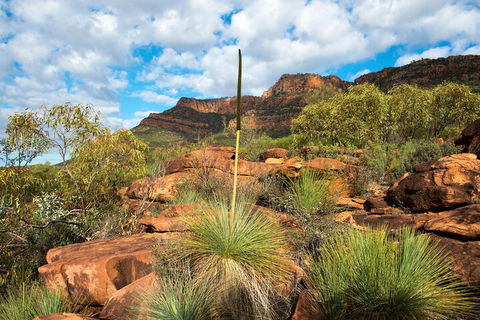 6-Day Eyre Peninsula & Flinders Ranges Adventure Tour - eAccommodation 1