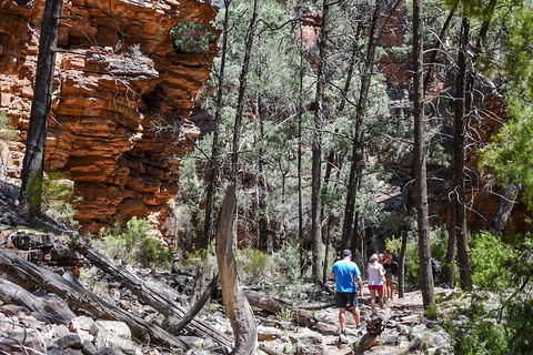 6-Day Eyre Peninsula & Flinders Ranges Adventure Tour - eAccommodation 5