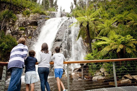 Melbourne Snow Trip To Lake Mountain With Chocolates Visit To A Waterfall - eAccommodation 3