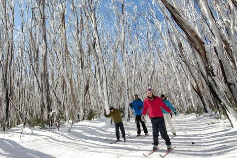 Melbourne Snow Trip To Lake Mountain With Chocolates Visit To A Waterfall - eAccommodation 5