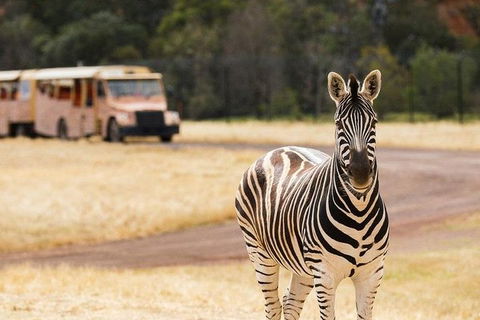 Werribee Open Range Zoo General Admission Ticket - eAccommodation 5