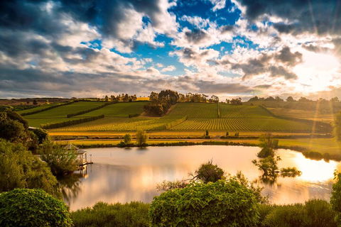 Josef Chromy Wines Winery Tour Including Tasting And Lunch - eAccommodation 3