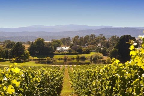 Josef Chromy Wines Winery Tour Including Tasting And Lunch - eAccommodation 4