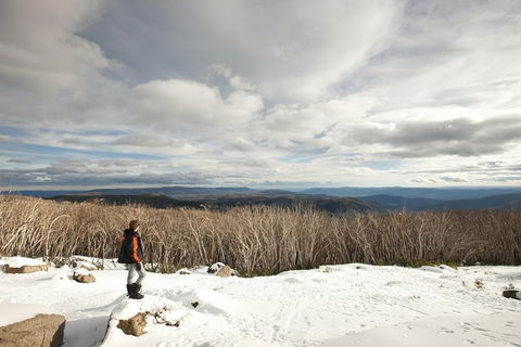 Lake Mountain Snow Trip Including Yarra Valley Chocolaterie From Melbourne - eAccommodation 5