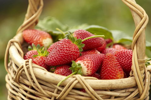 Mornington Peninsula Farm Produce Wine And Cider Tour - eAccommodation 1
