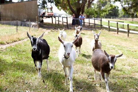 Mornington Peninsula Farm Produce Wine And Cider Tour - eAccommodation 3