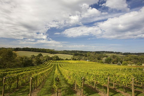 Mornington Peninsula Farm Produce Wine And Cider Tour - eAccommodation 5