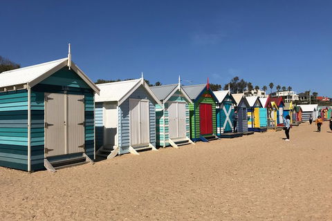 Phillip Island Penguin Parade, Brighton Bathing Boxes And Wildlife Park Tour - eAccommodation 3