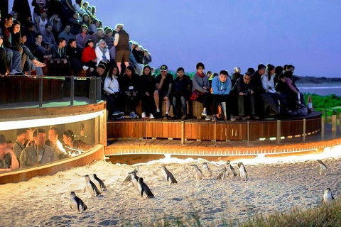 Great Ocean Road & Phillip Island - 3 Days, 2 Nights - eAccommodation 0