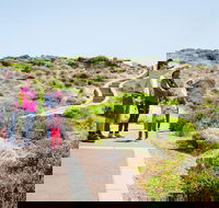 Margaret River Coastal and Wildlife Eco Trip from Busselton or Dunsborough - eAccommodation