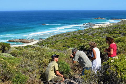 Margaret River Coastal And Wildlife Eco Trip From Busselton Or Dunsborough - eAccommodation 2