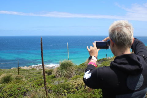 Margaret River Coastal And Wildlife Eco Trip From Busselton Or Dunsborough - eAccommodation 3